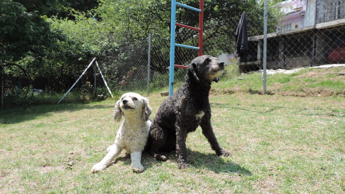 Photo of Others in Tlalpan