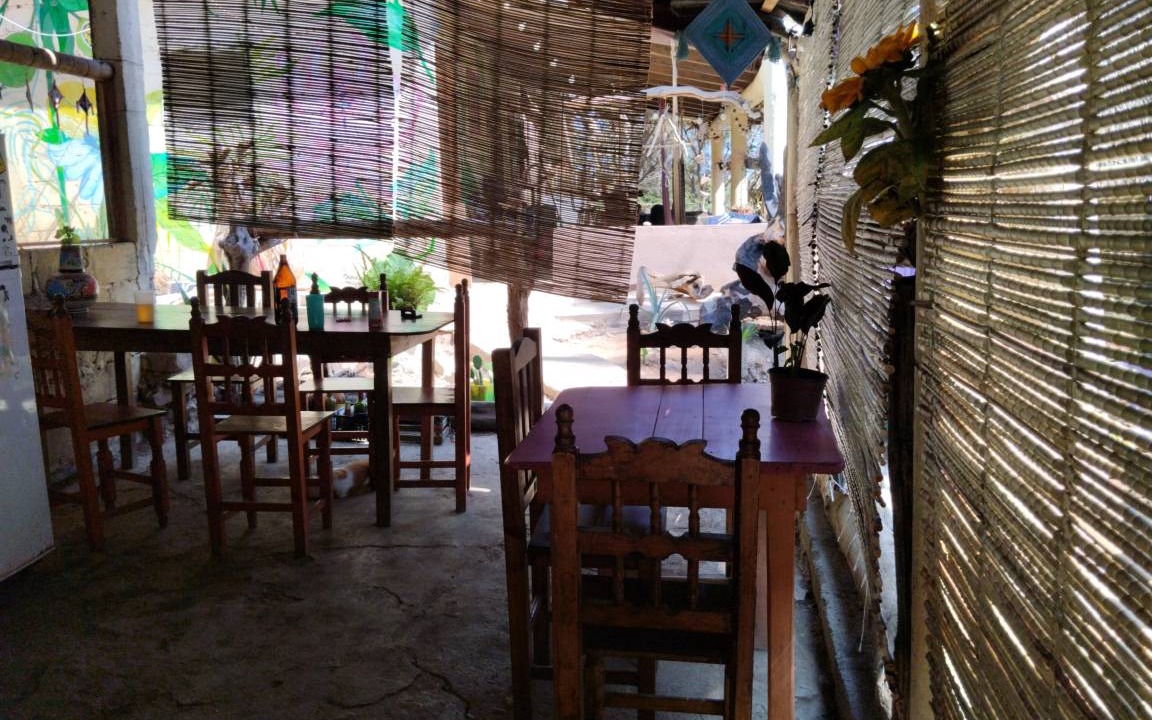 Photo of Others in Mazunte