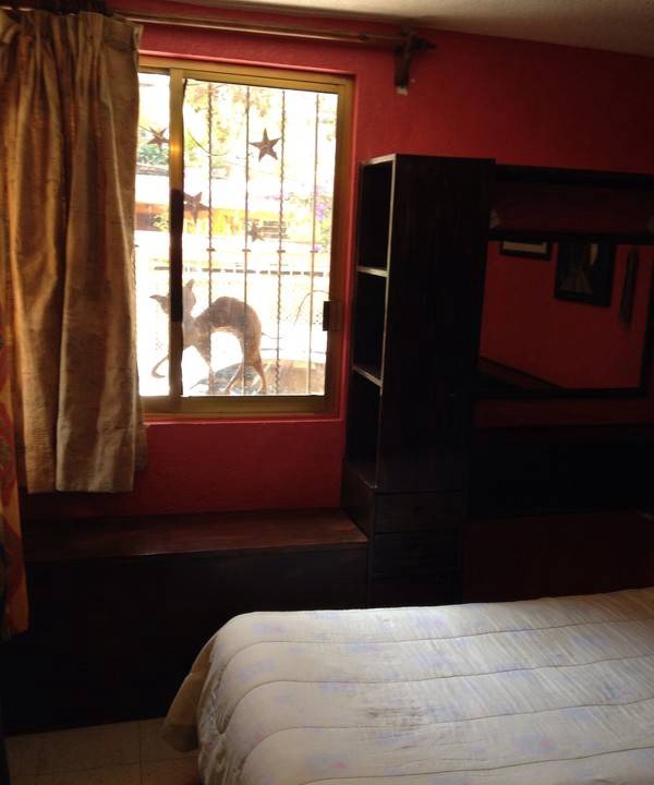 Photo of Others in Magdalena Contreras