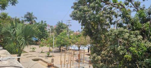 Photo of Others in Mazunte