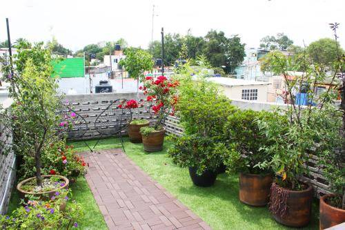 Photo of Others in Venustiano Carranza