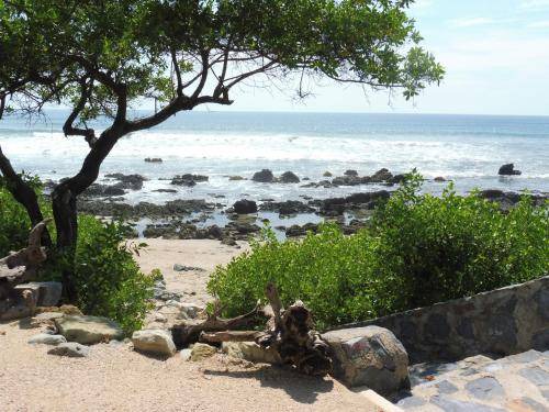 Photo of Others in Troncones