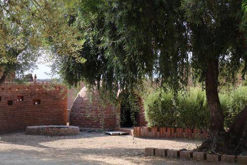 Photo of Others in Valle de Guadalupe