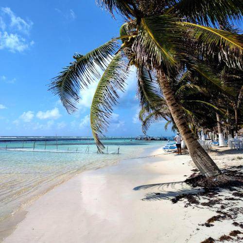 Photo of Outdoor in Majahual