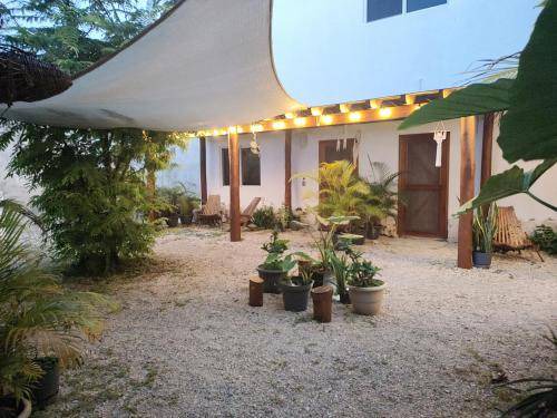 Photo of Buildings in Majahual