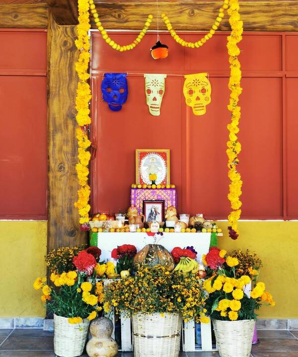 Photo of Others in Oaxaca