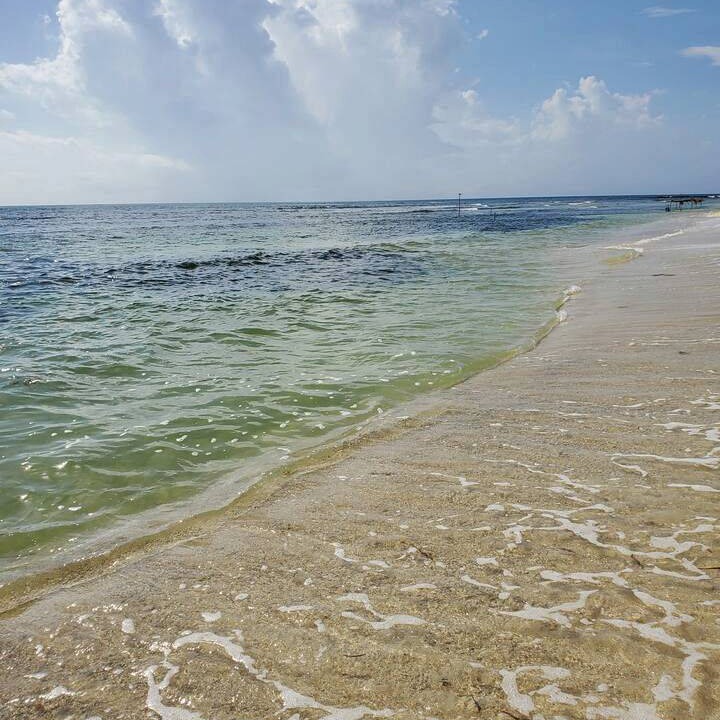 Photo of Others in Majahual
