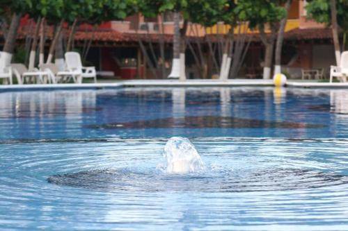 Photo of Others in Ixtapa