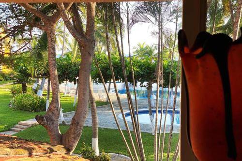 Photo of Others in Ixtapa