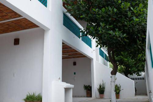 Photo of Others in La Penita de Jaltemba