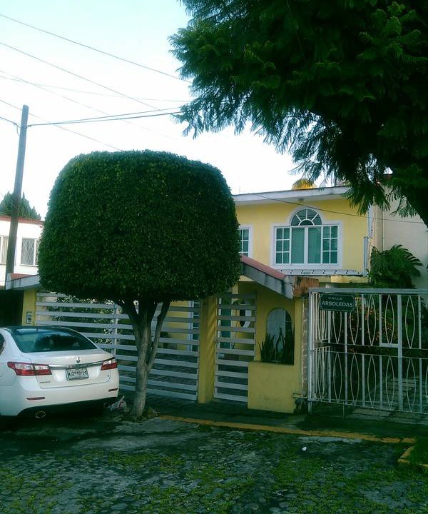 Photo of Others in Tlalnepantla de Baz