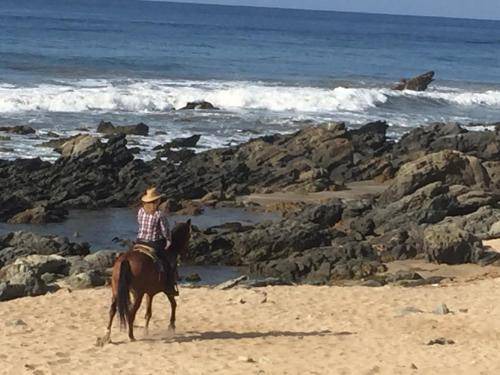 Photo of Others in Troncones