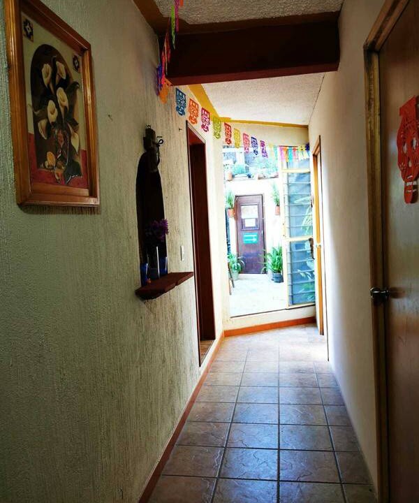 Photo of Others in Oaxaca