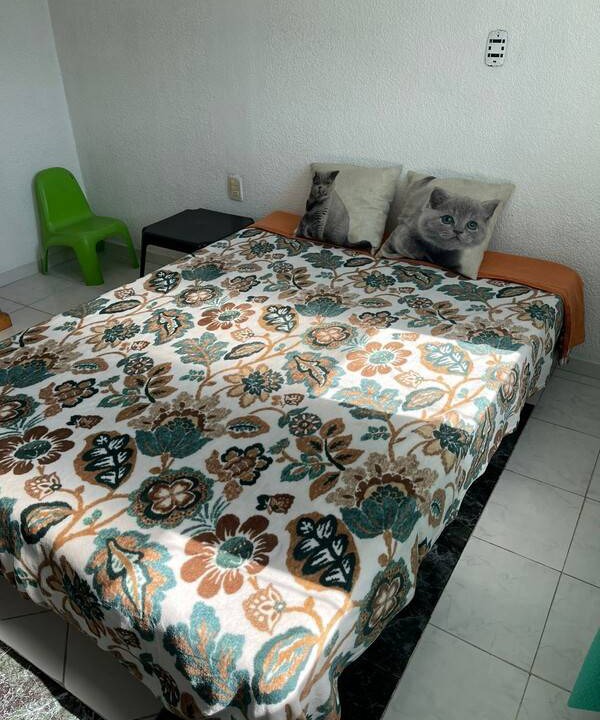 Photo of Others in Queretaro