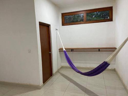 Photo of Others in Izamal