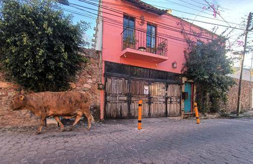 Photo of Others in Guanajuato