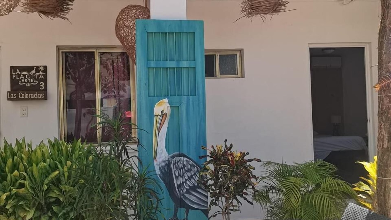 Photo of Patio Balcony in Rio Lagartos