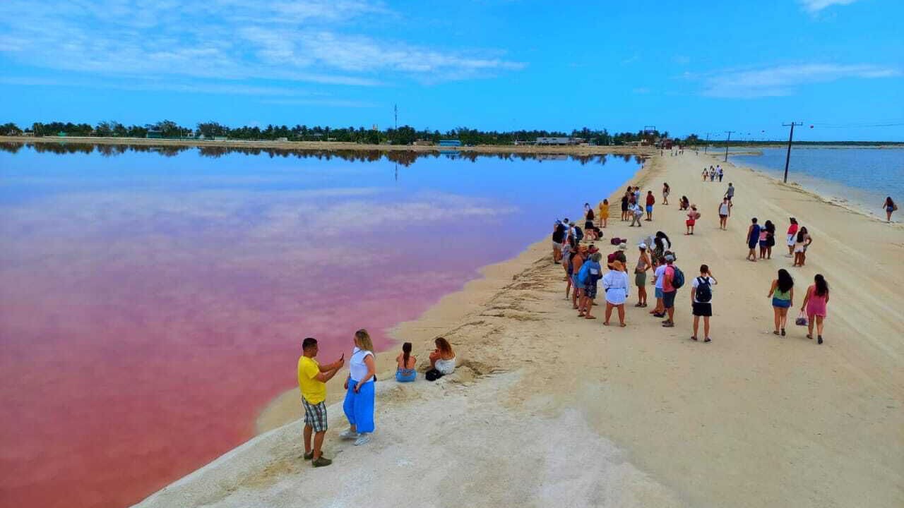 Photo of Others in Rio Lagartos