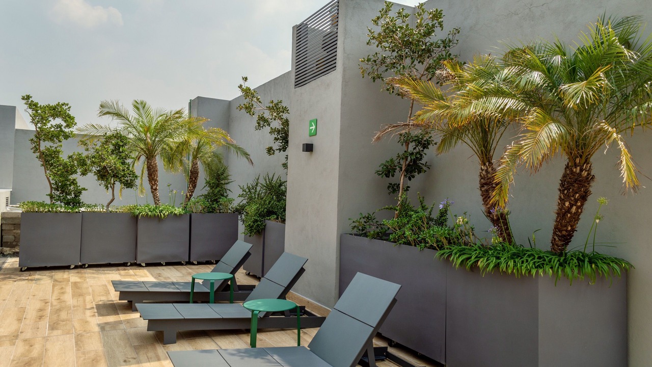 Photo of Outdoor in Hipodromo Condesa