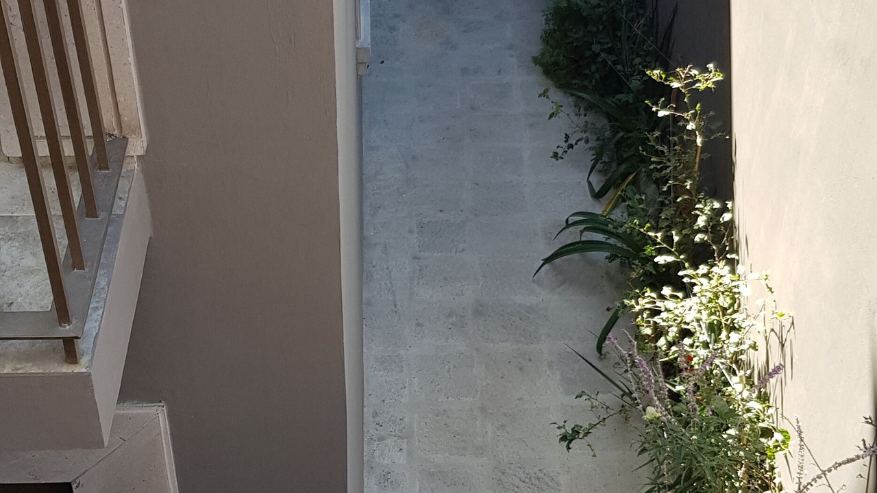 Photo of Others in Colonia San Antonio