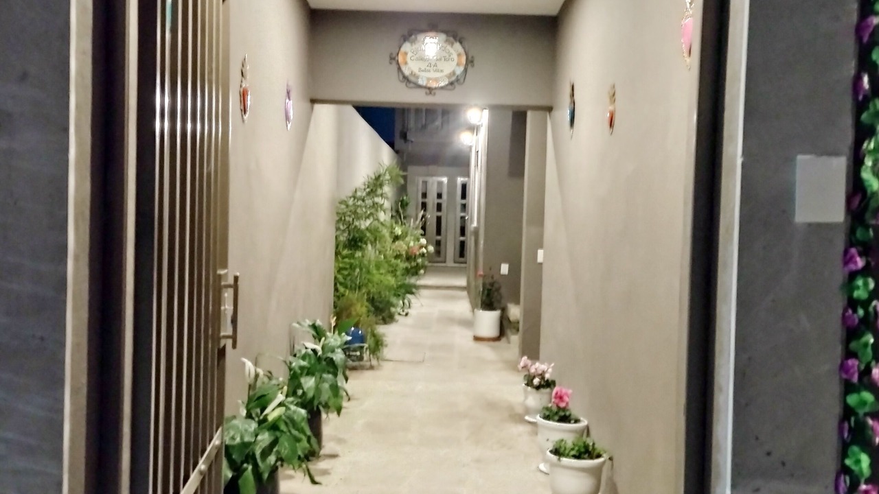 Photo of Outdoor in Colonia San Antonio