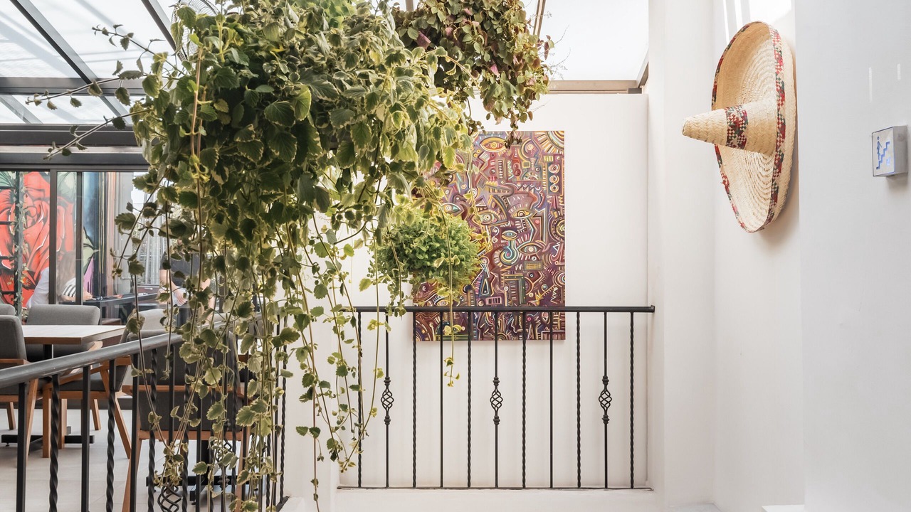 Photo of Livingroom in Zona Rosa