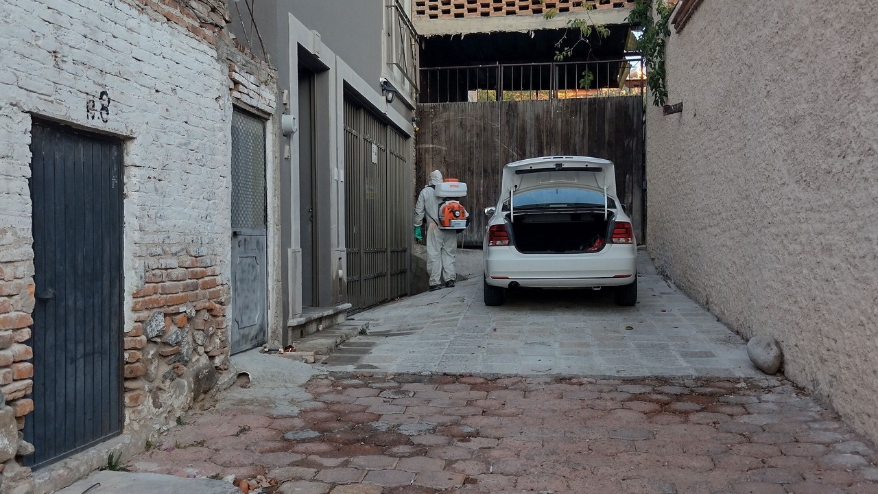 Photo of Others in Colonia San Antonio