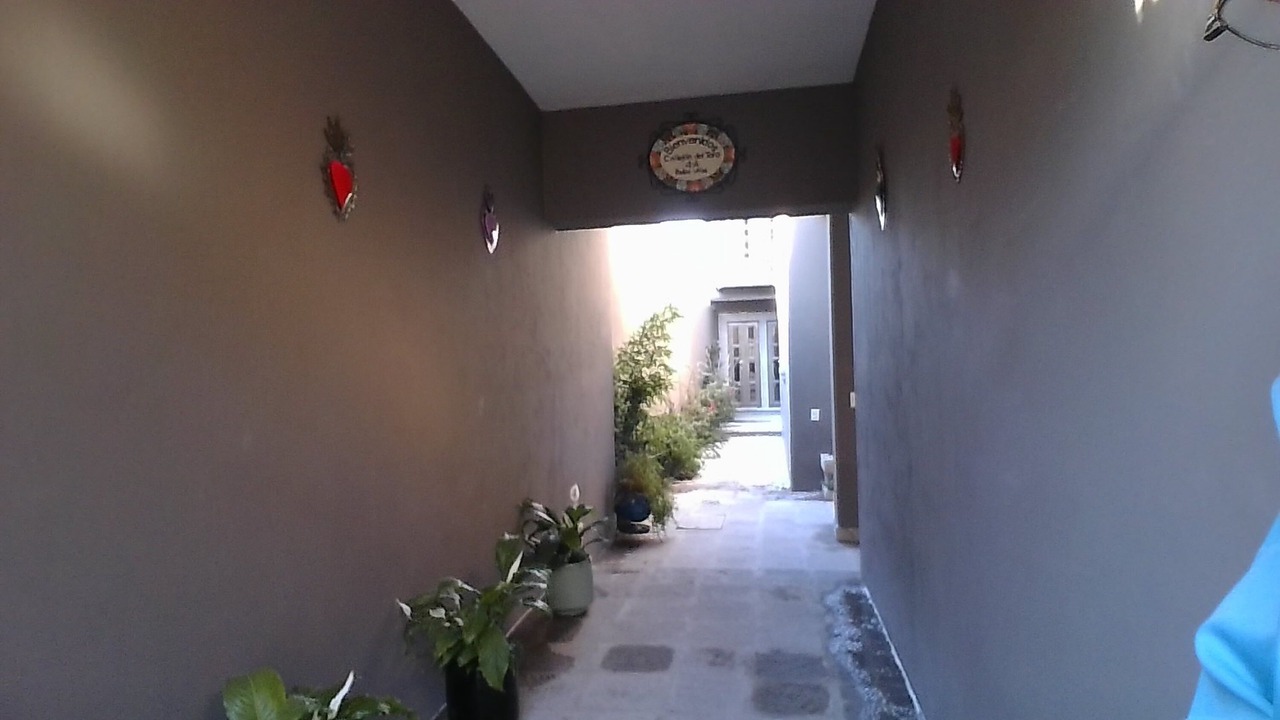 Photo of Outdoor in Colonia San Antonio