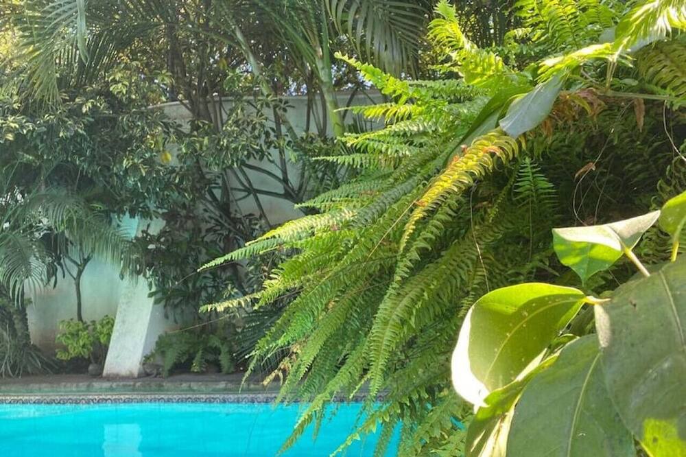 Photo of Others in Cuernavaca