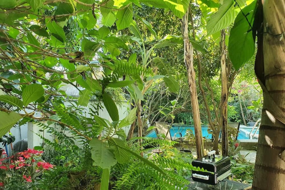 Photo of Others in Cuernavaca