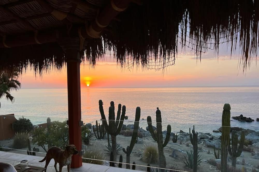 Photo of Others in Cabo Pulmo