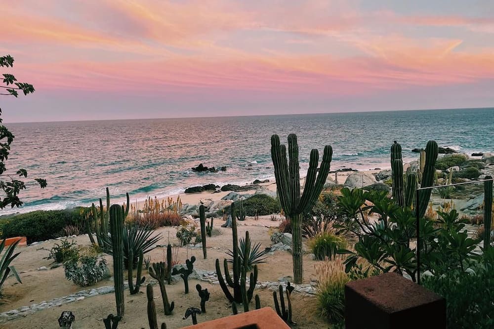 Photo of Others in Cabo Pulmo