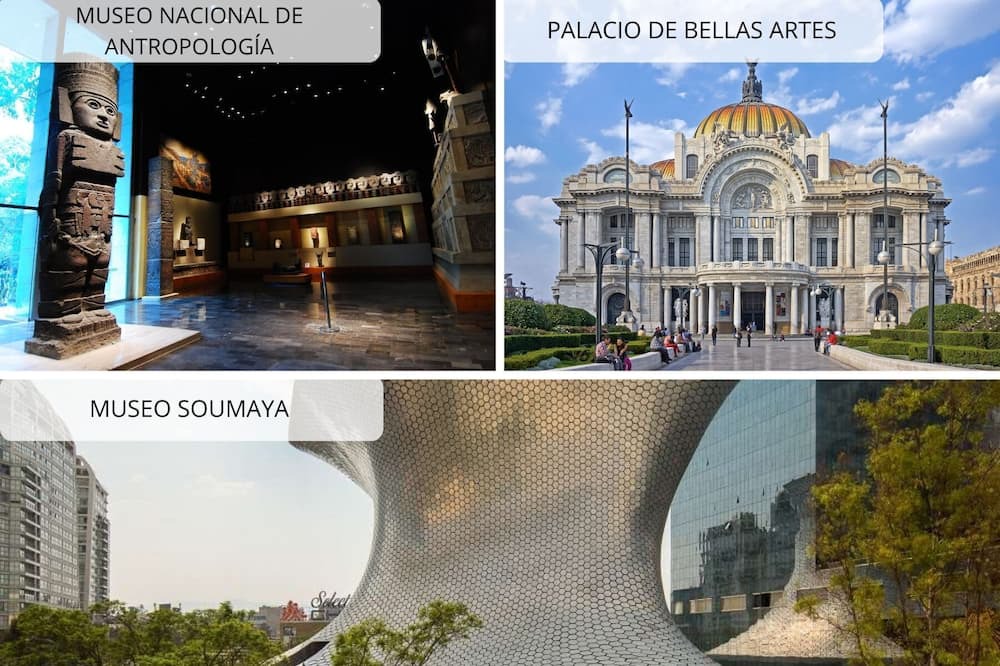 Photo of Others in Colonia Roma