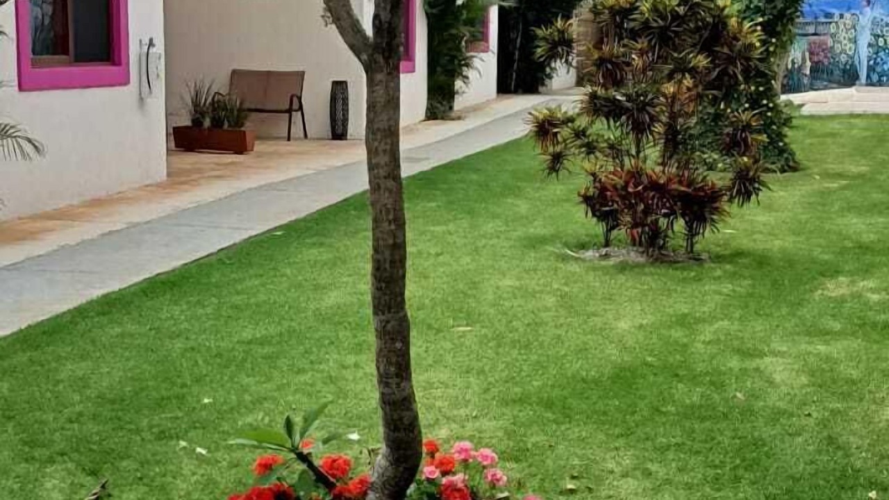 Photo of Outdoor in Izucar de Matamoros
