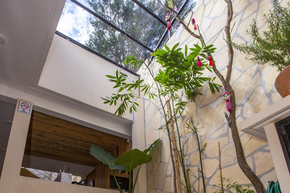 Photo of Bedroom in San Cristobal de las Casas