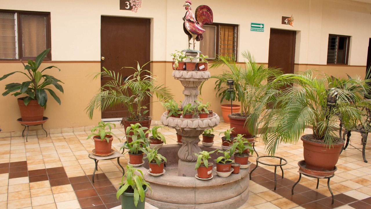 Photo of Others in Tapachula