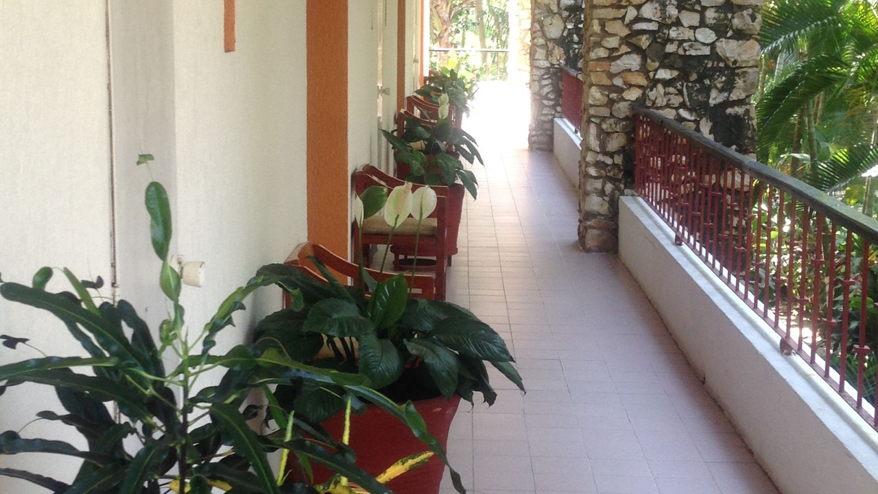 Photo of Others in Palenque