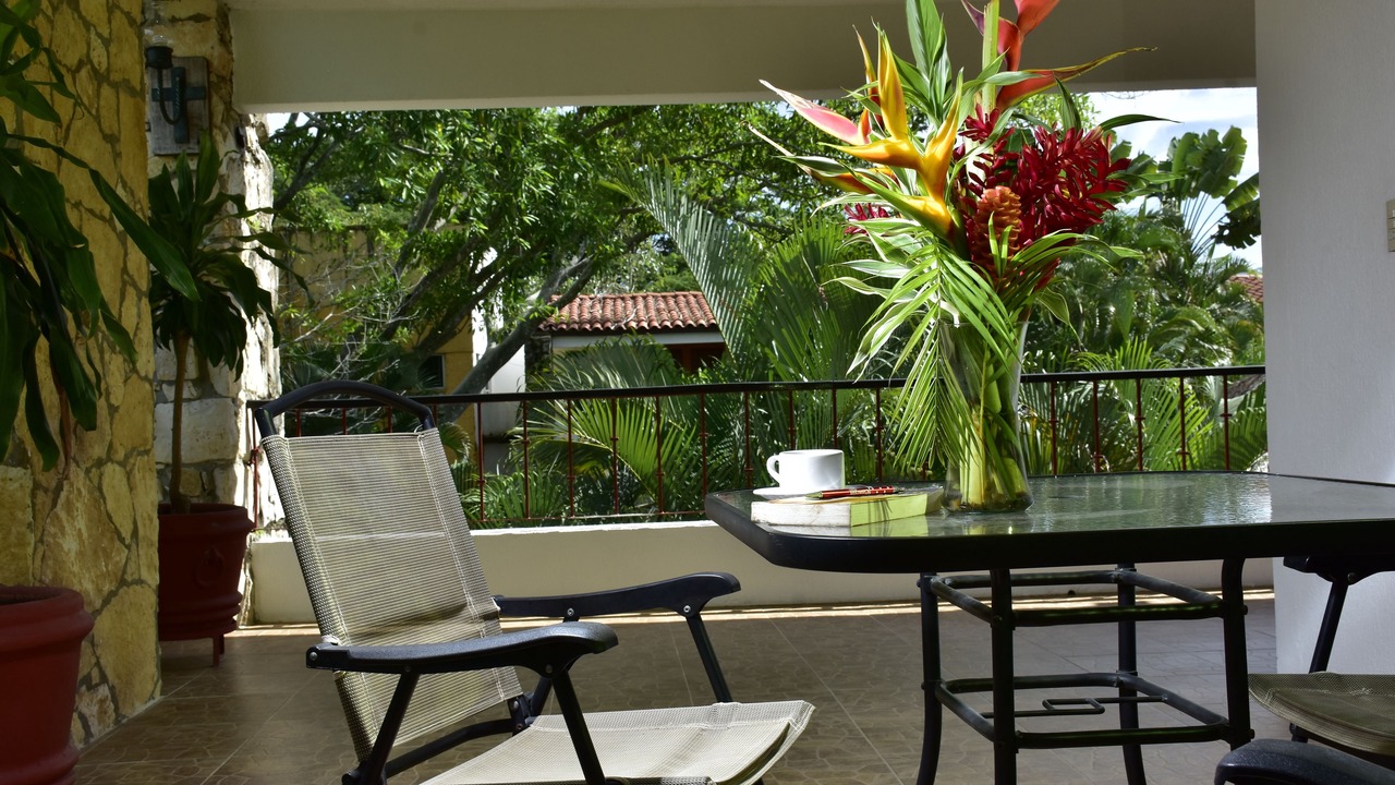 Photo of Outdoor in Palenque