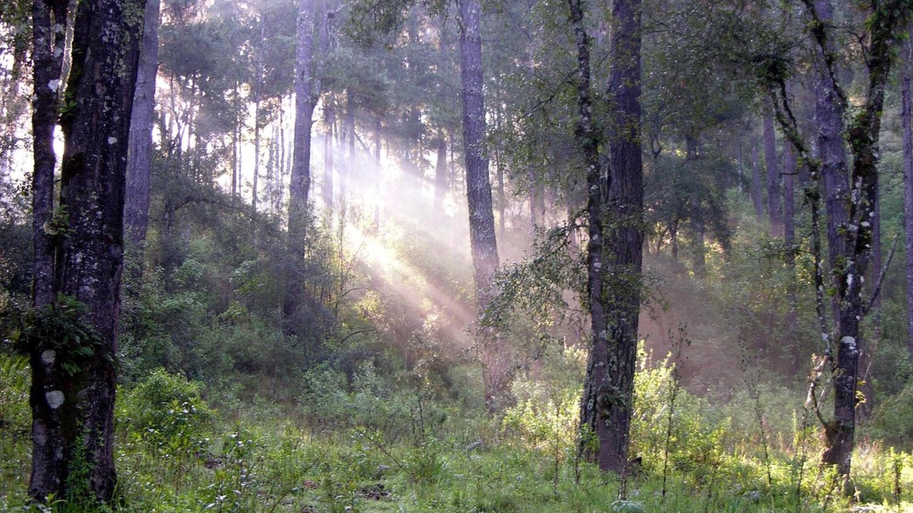 Photo of Outdoor in El Aguaje