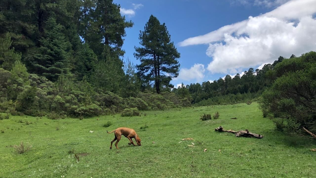 Photo of Others in El Aguaje