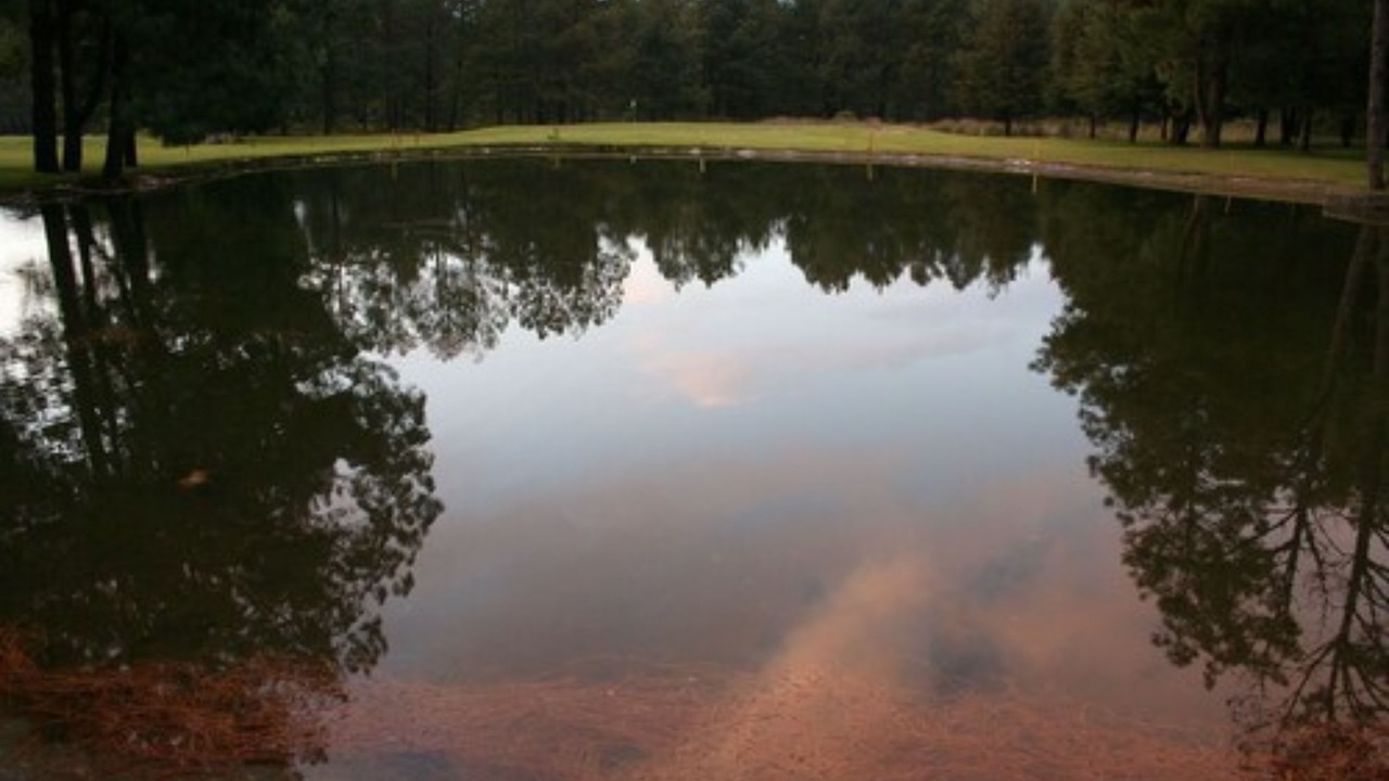 Photo of Others in El Aguaje