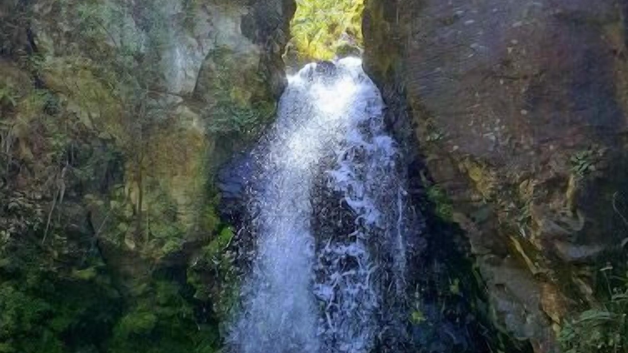 Photo of Outdoor in El Aguaje