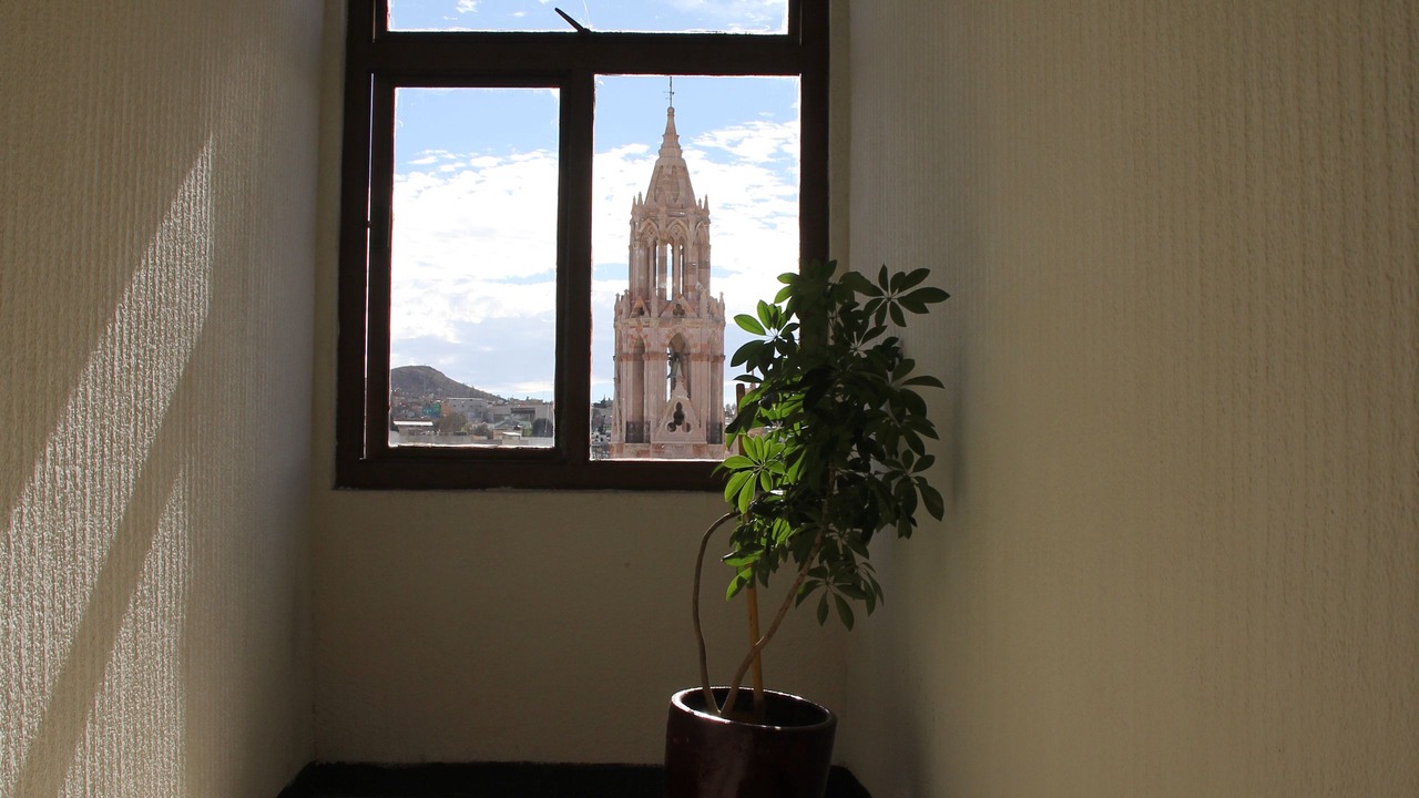 Photo of Others in Zacatecas Centro