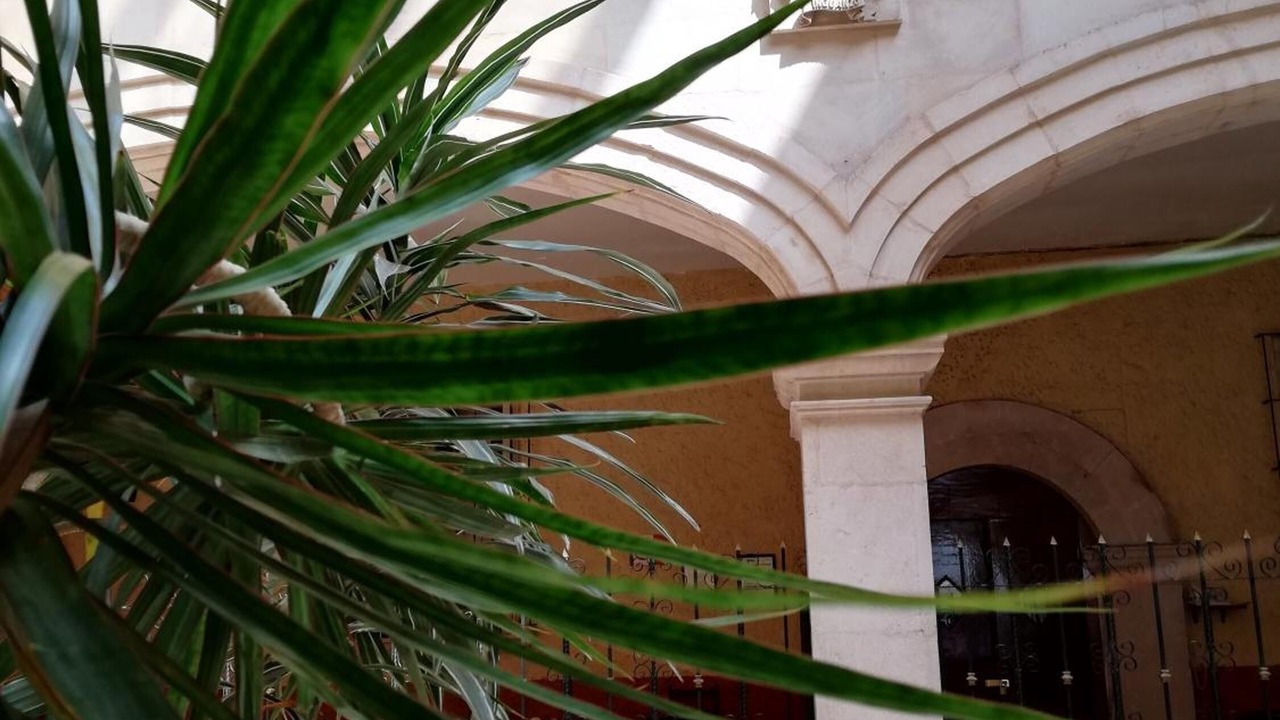 Photo of Outdoor in Zacatecas Centro