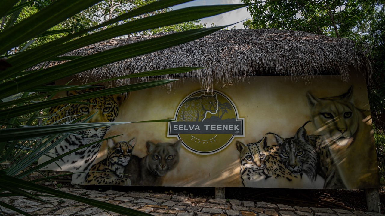 Photo of Outdoor in La Huasteca