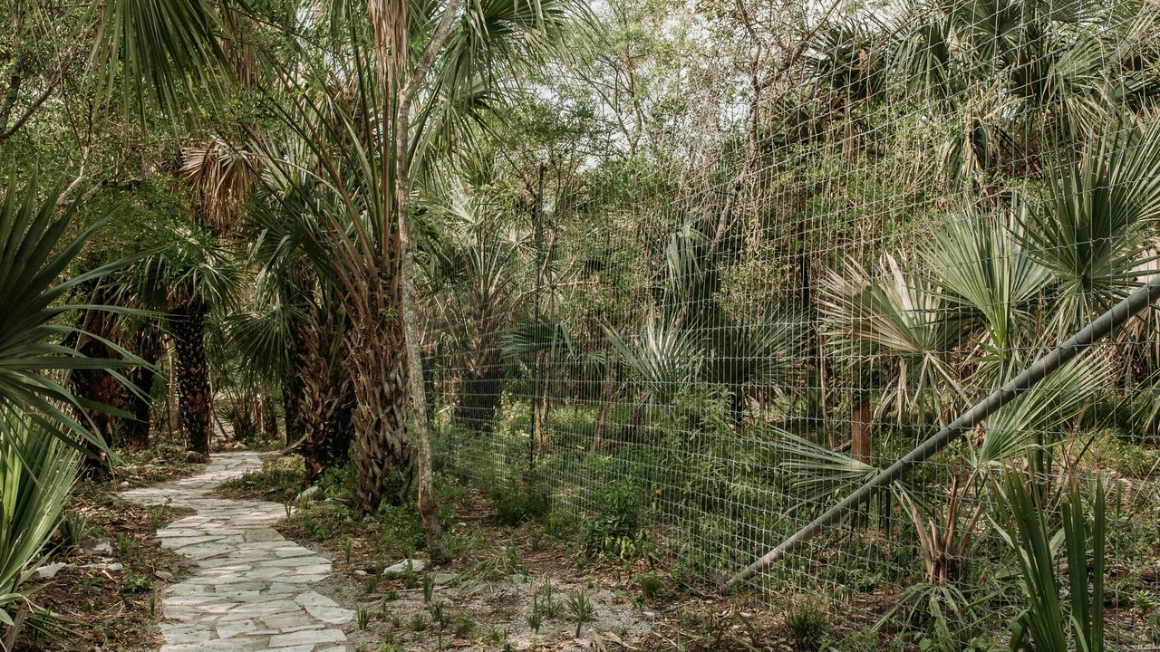 Photo of Outdoor in La Huasteca