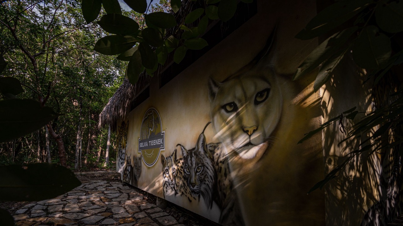 Photo of Outdoor in La Huasteca