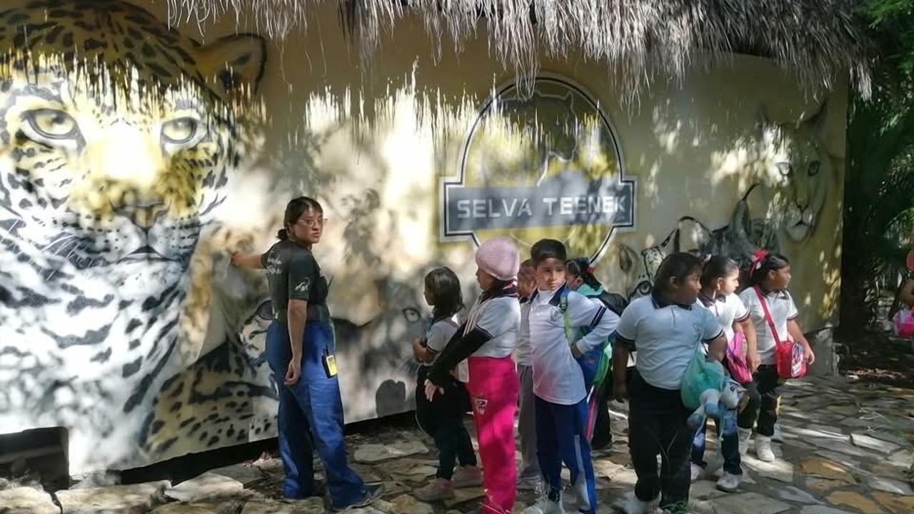 Photo of Outdoor in La Huasteca