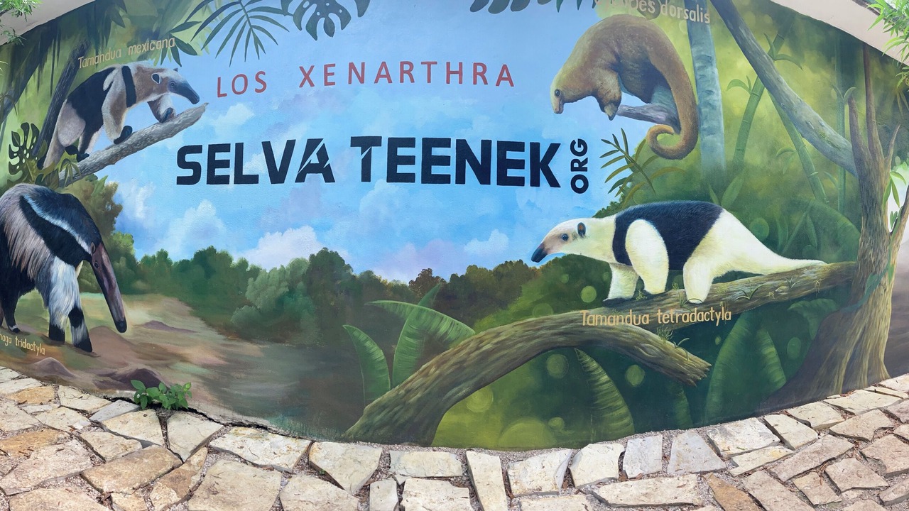 Photo of Outdoor in La Huasteca