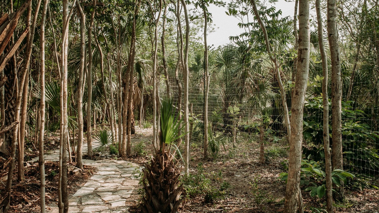 Photo of Livingroom in La Huasteca